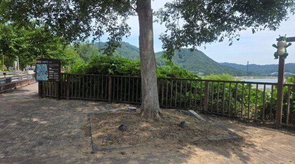 경북 김천시 부항면 신옥리 산 17-5 일대_예초_7
